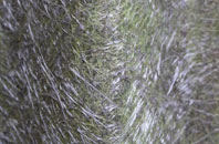 Lamberts End fibreglass roof work